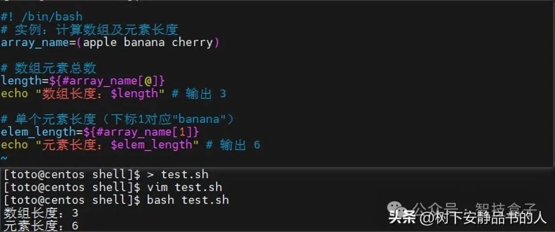 Unlocking Linux: Shell Programming Variables