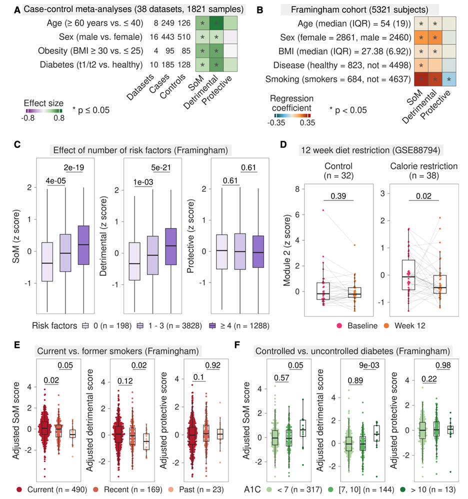 Immunity: Precise Prediction of Infection Severity and All-Cause Mortality Based on SoM Gene Features