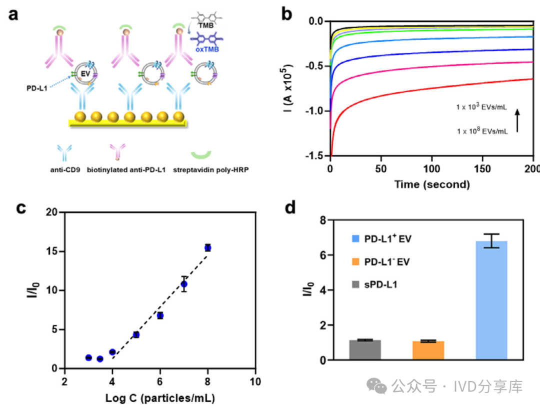 Digital Microfluidic Platform for Integrated Electrochemical Sensors: Automated Extraction and Detection of Extracellular Vesicles