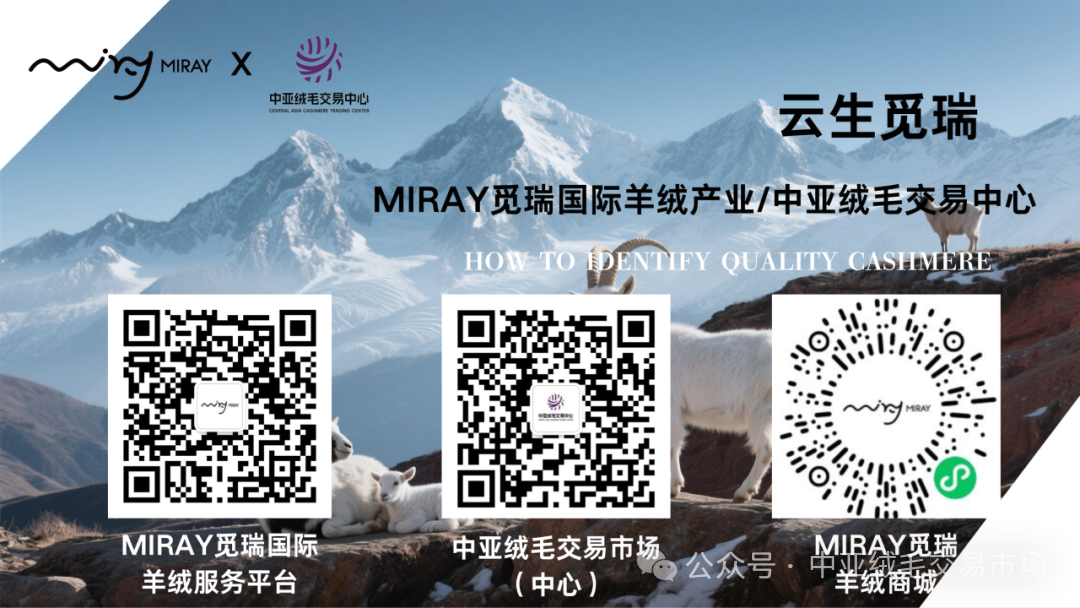 Reflections on Chinese Cashmere: How Far Are We from the 'Loro Piana Myth'?