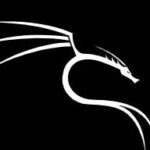 Kali Linux: The Hacker's Ultimate System! Detailed Installation Guide Included