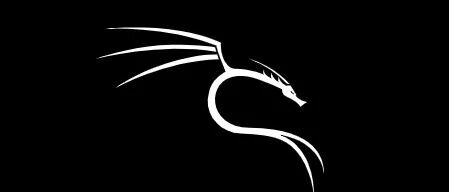 Kali Linux: The Hacker's Ultimate System! Detailed Installation Guide Included