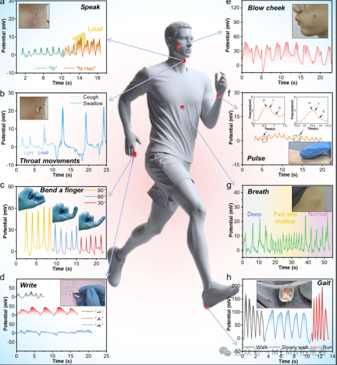 The Flexible Sensing Revolution: The Rise and Future Landscape of China's Flexible Sensor CDMO Industry