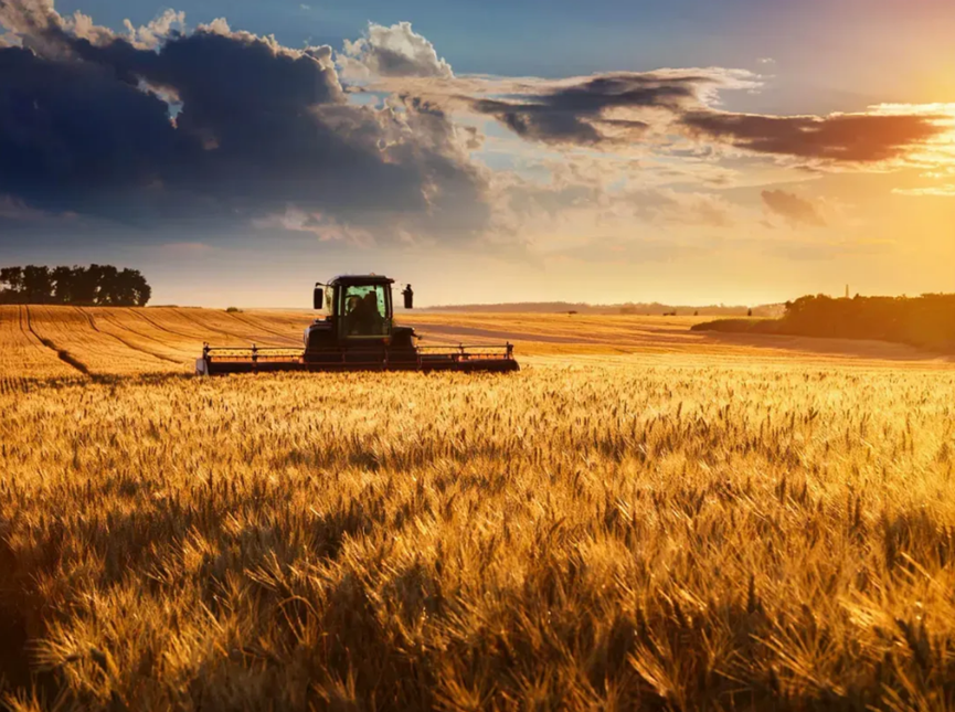 NVIDIA's Edge AI Opens New Opportunities for Global Agriculture