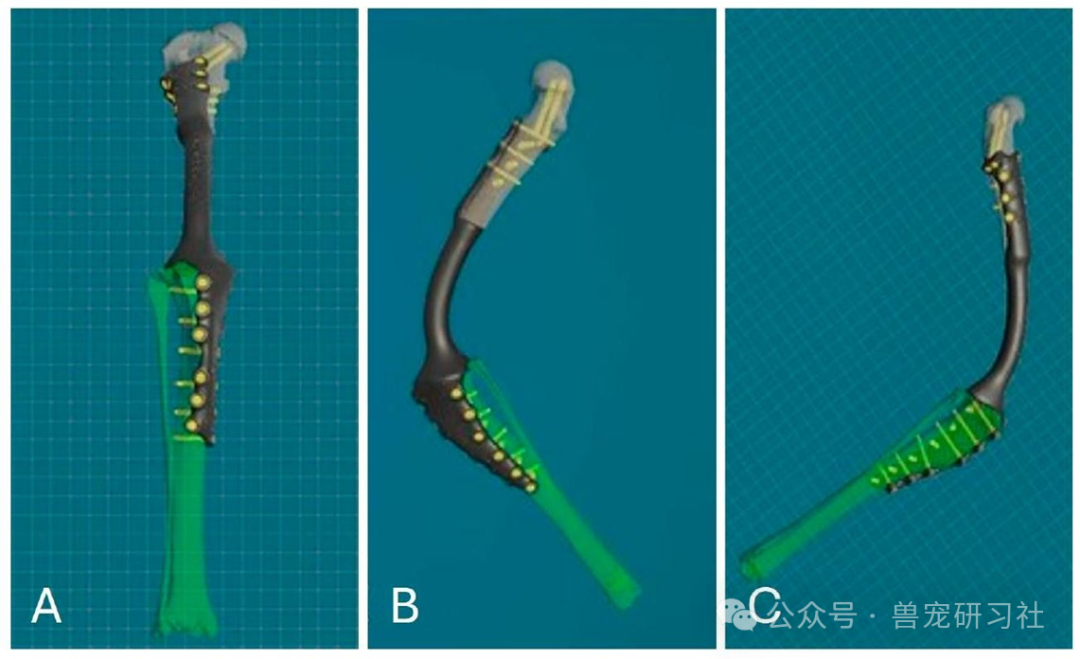 Golden Retriever Successfully Preserves Limb! 3D Printing and Precision Surgery Achieve Breakthrough in Chondrosarcoma Treatment