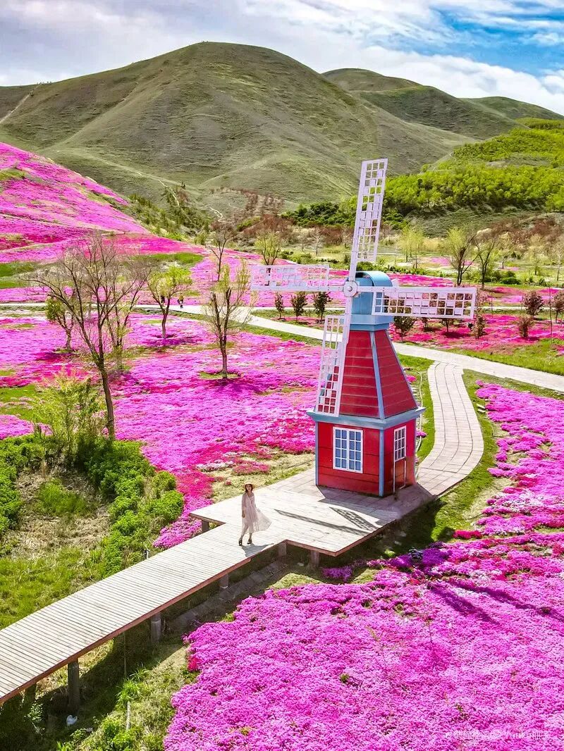City C Breaks Out! From Desert to Garden City, Xinjiang Has Transformed!