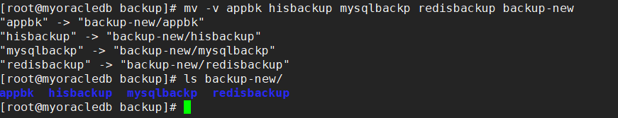 9 Usage Tips and Precautions for the 'mv' Command in Linux