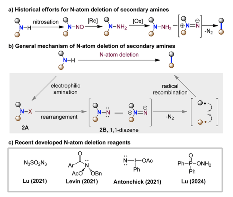 Review by Professor Hongjian Lu's Team at Nanjing University | Recent Advances in Skeleton Editing Based on Nitrogen Atom Manipulation