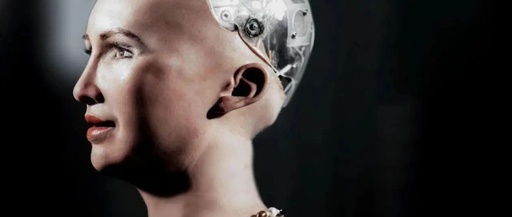 Will Humanoid Robots Evolve to the Battlefield?