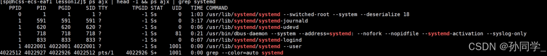 Linux Process States (Zombie Processes, Orphan Processes), Priority and Scheduling Mechanisms