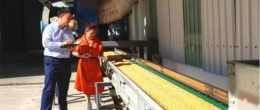 Comprehensive Financial Services from Xinyuan Rural Commercial Bank Support Agricultural 'Chips'