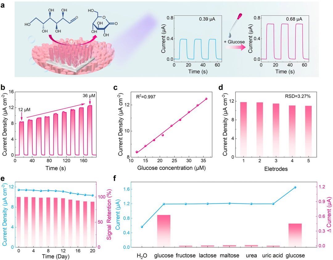 Novel Photoelectrochemical Photodetector Based on Semiconductor p-n Junction for Biosensing Applications