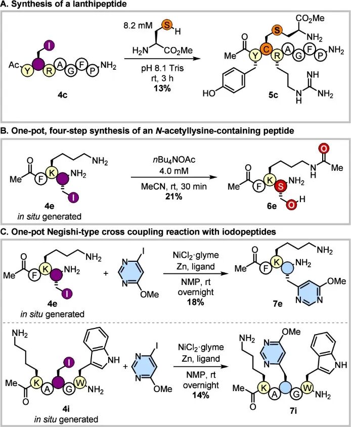 Opening New Pathways for Peptide Modification: Direct Editing of Cysteine Side Chains to Electrophilic Alkyl Halides