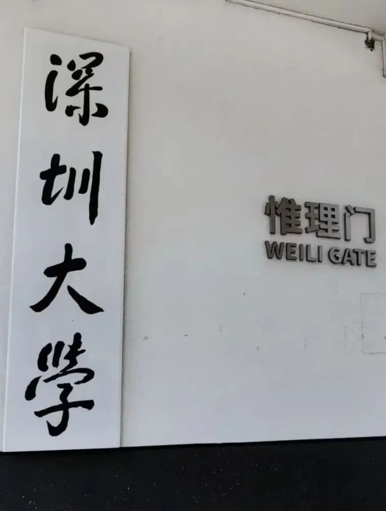 Medical Engineering Collaboration | Shenzhen University Training Camp Diary: C Language Challenge