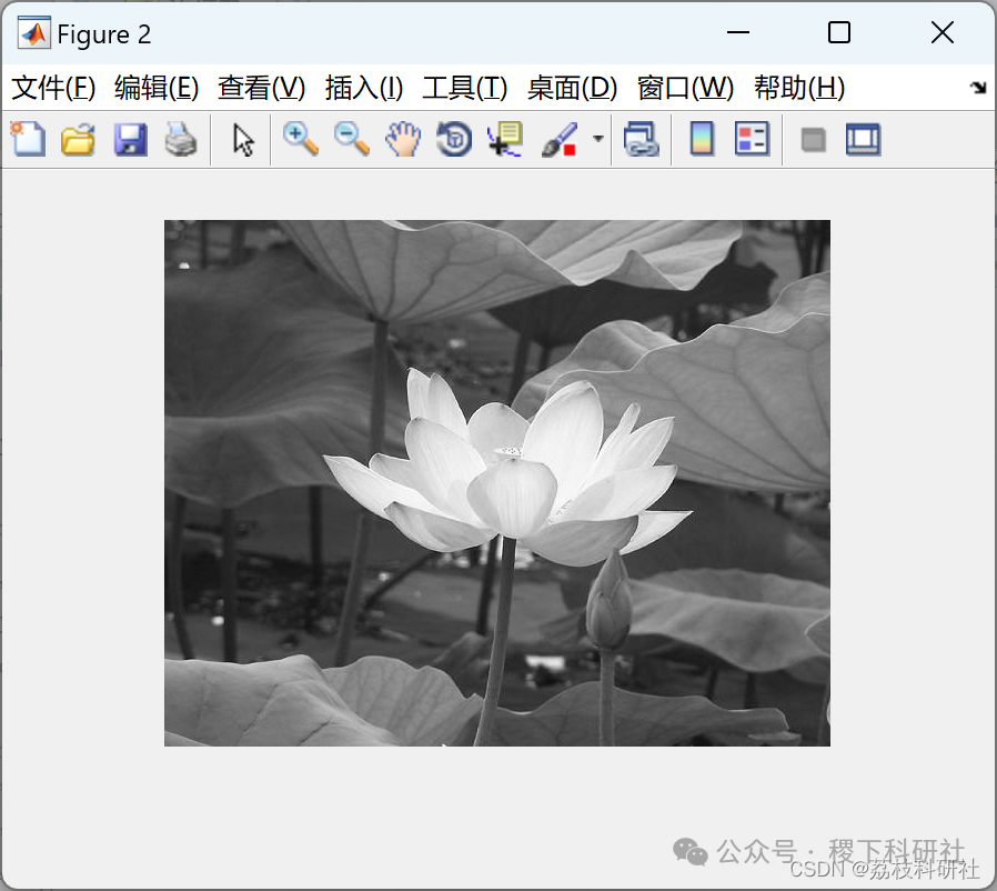 Edge Detection in Image Processing (Implementation in Matlab)