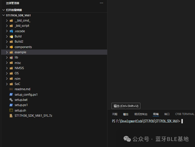 ST17H36 Bluetooth SoC Development (1)