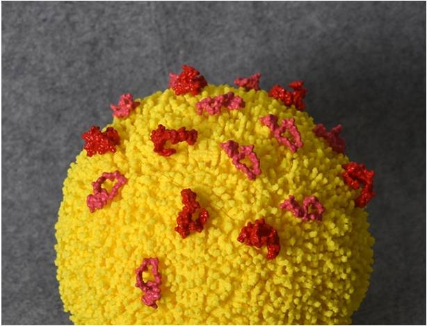 3D Printing of Viruses