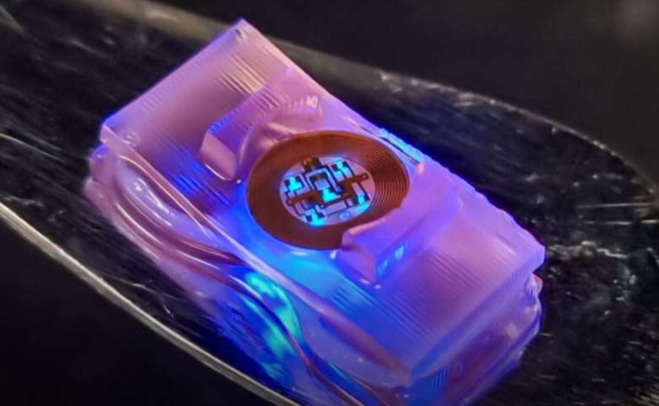 New Biohybrid Robots Controlled by Optogenetics
