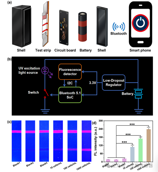 Wireless Cell Sensor Based on Bionic Dandelion Isothermal Amplification System for Ultra-Sensitive Detection of Circulating Tumor Cells
