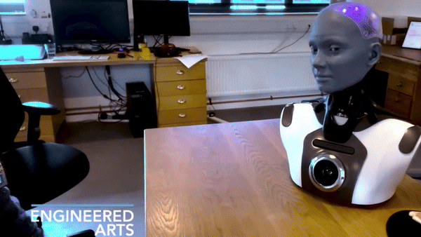 The Humanoid Robot That Can See and Speak: Its Conversational Abilities Surprised Me