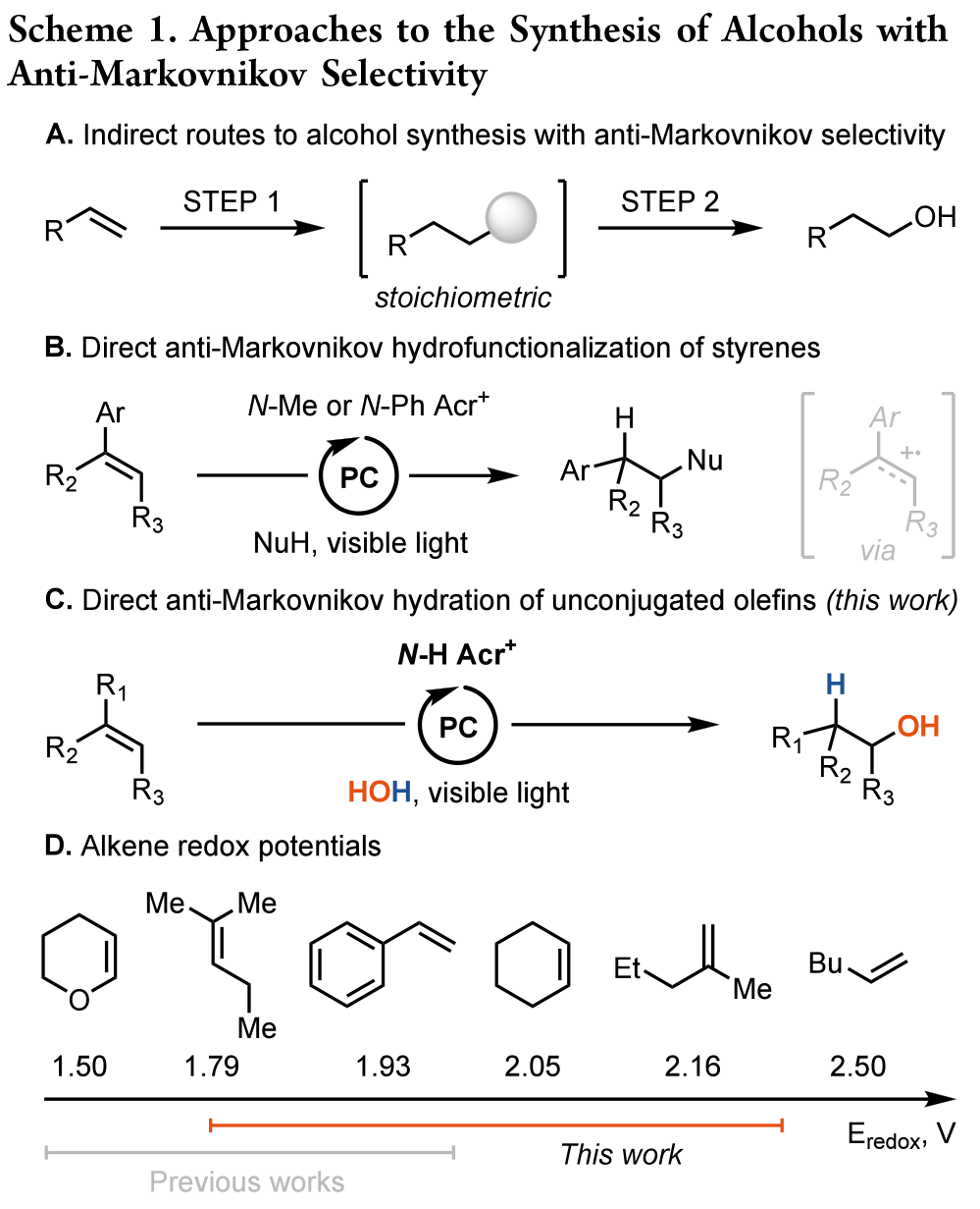 N-Protonated Acridinium Catalyst Enables Anti-Markovnikov Hydration of Unconjugated Tri- and Disubstituted Olefins