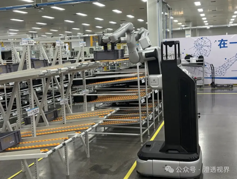 Understanding a Company in 3 Minutes | Zhiyuan Robotics
