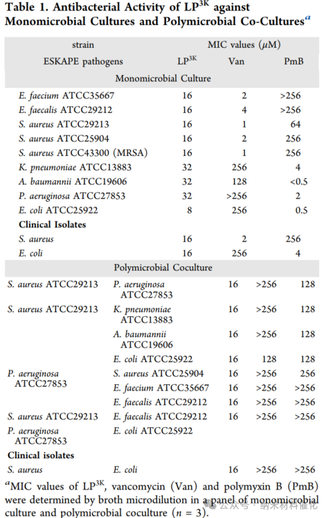 A Bioinspired Lipopeptide Surmounts Therapeutic Dilemmas of Gram-Positive and Gram-Negative Polymicrobial Infection