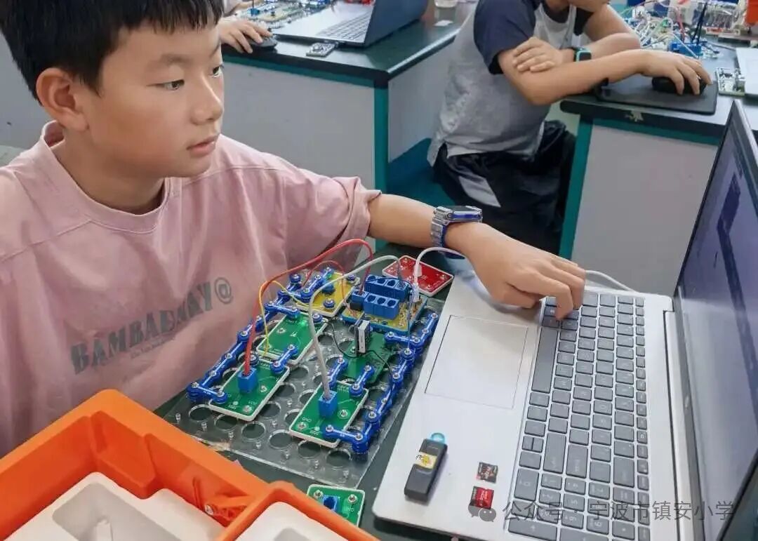 The Shining Stars on the Circuit Board