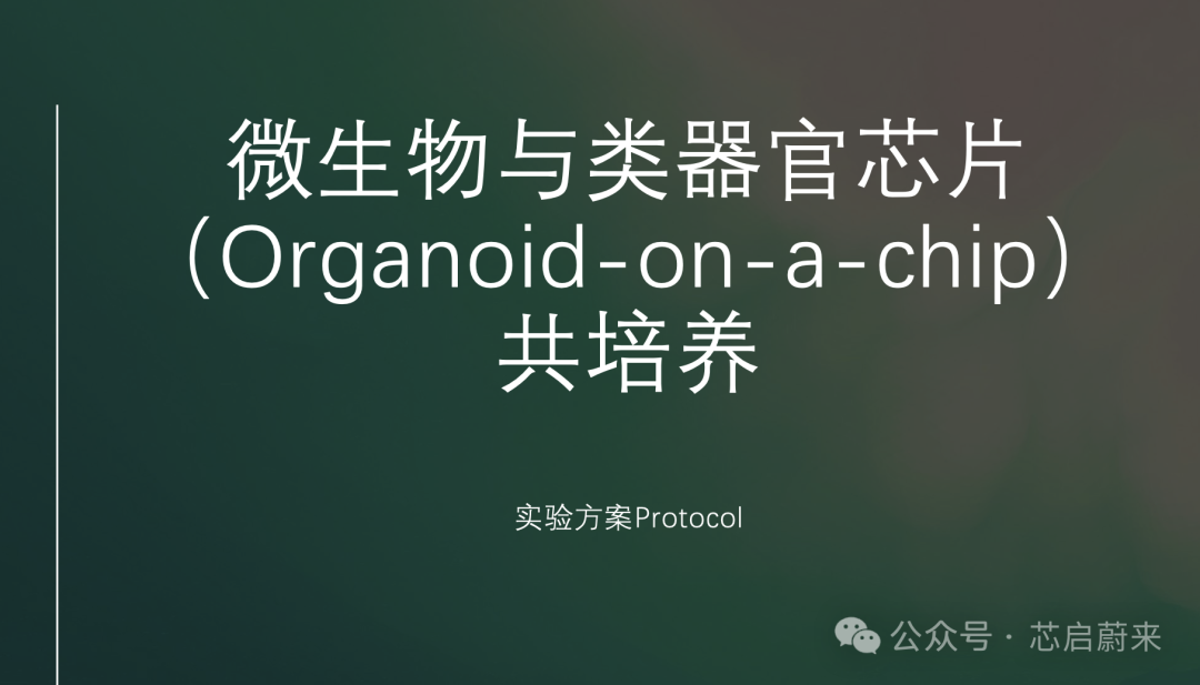 Protocol for Co-Culturing Microorganisms with Organoid-on-a-Chip Systems