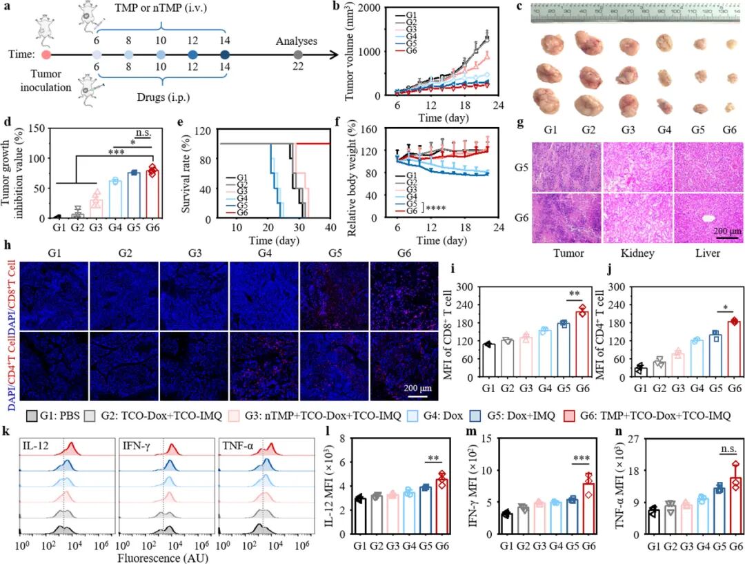 Self-Assembly of Artificial Topological Nanostructures for Enhanced Bioorthogonal Activation and Drug Penetration in Cancer Immunotherapy