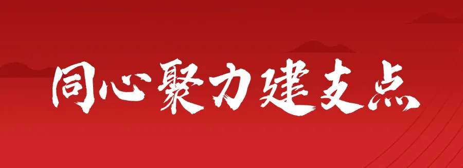 Zheng Jiaxi Leads Team to Investigate the Development of Humanoid Robot Industry