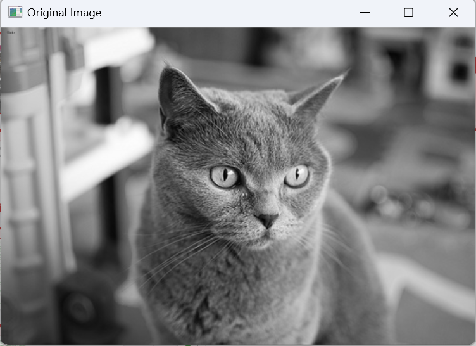 C++ Image Processing (Part 3): Image Smoothing