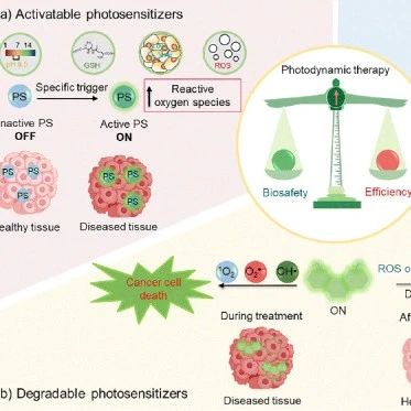 Chem. Soc. Rev: Enhancing the Biosafety of Photodynamic Therapy