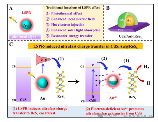 Plasmon-Induced Ultrafast Interfacial Charge Transfer for Enhanced Photocatalytic Hydrogen Evolution