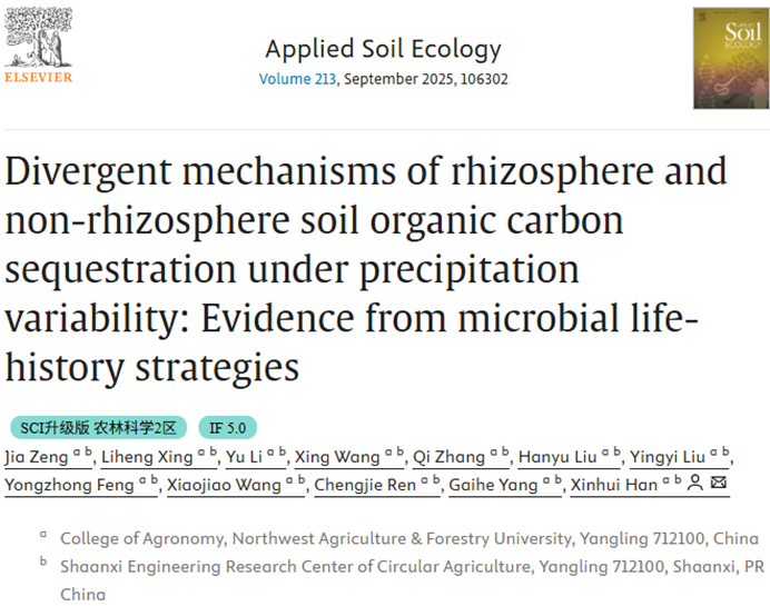 Divergent Mechanisms of Rhizosphere and Non-Rhizosphere Soil Organic Carbon Sequestration Under Precipitation Variability: Evidence from Microbial Life-History Strategies