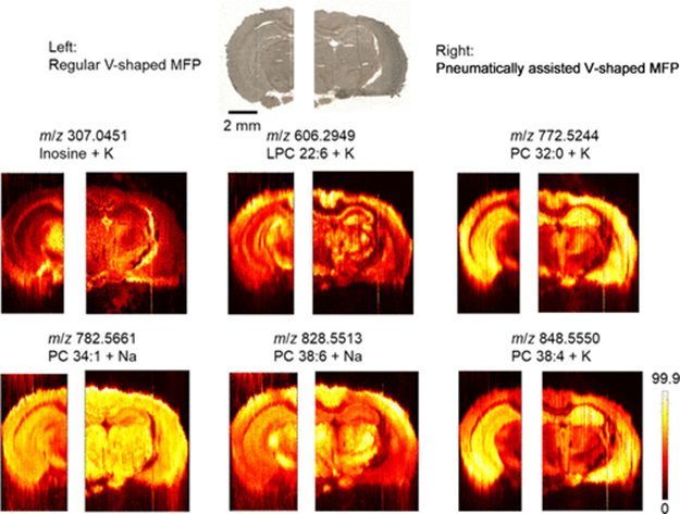 Literature Sharing | J. Am. Soc. Mass Spectrom | Pneumatically Assisted Microfluidic Probe for Enhanced Mass Spectrometry Imaging Performance
