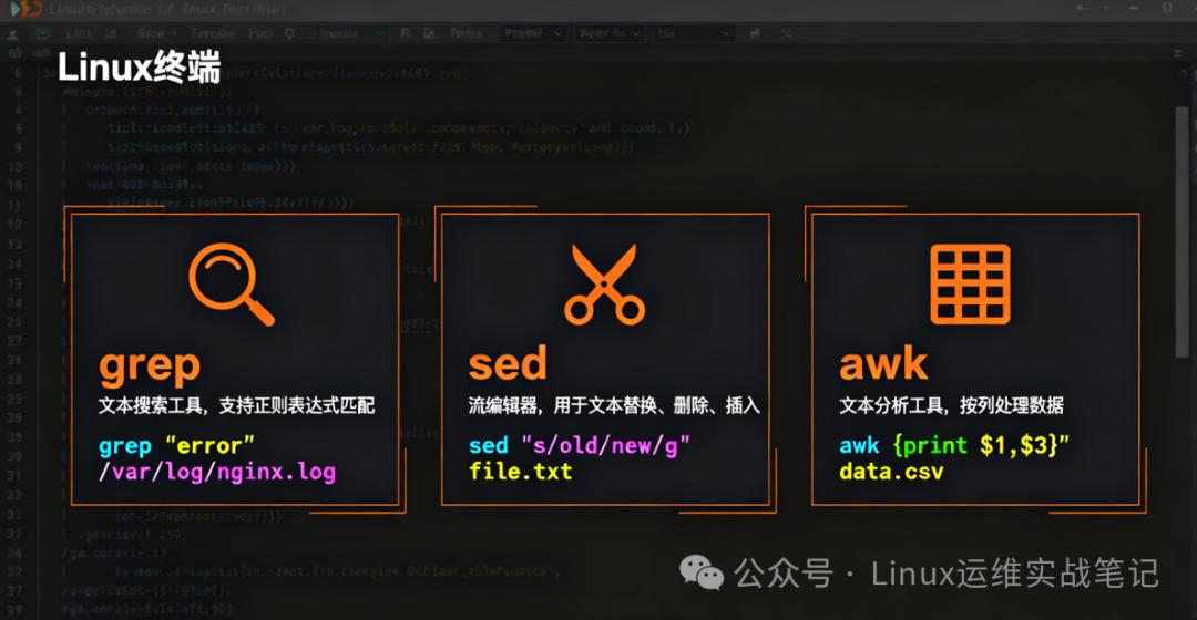 Mastering the 'Three Musketeers' of Linux: A Detailed Guide to grep, sed, and awk