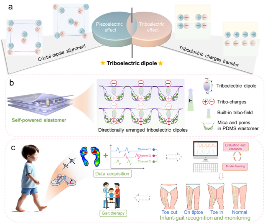 Weekly Research (Part 2): Intelligent Soft Robotic System for Sensing and Recognition via Triboelectric-Based Multi-Sensor Fusion