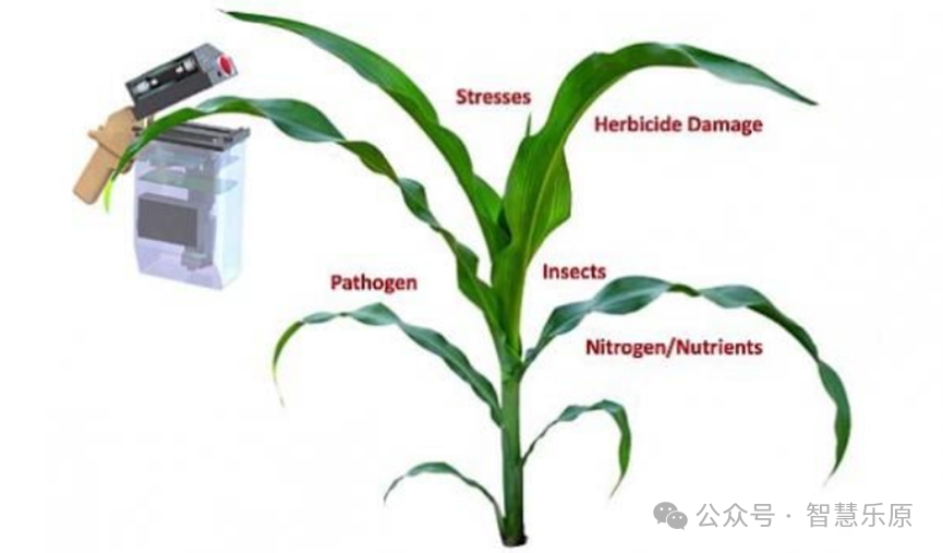 6 Types of Key Intelligent Sensors Commonly Used in Precision Agriculture