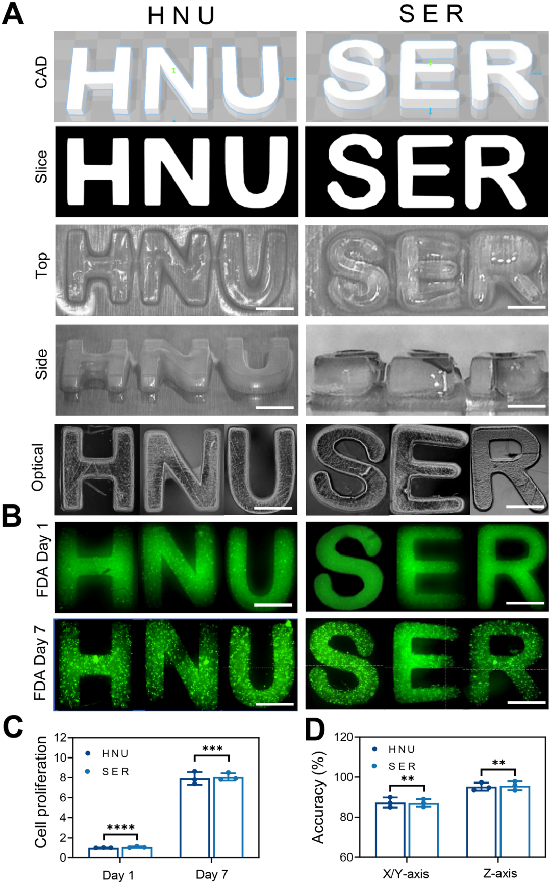 3D Bioprinting! Cellular Capsule Delivery Strategy for Cartilage Defect Repair