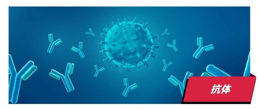 Latest Trends in Antibody Drugs for 2024: Which Will Lead the Next Decade - Bispecific Antibodies, ADCs, or PROTACs?