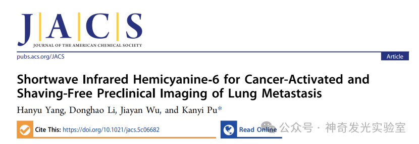 J. Am. Chem. Soc.: Shortwave Infrared Hemicyanine-6 for Cancer Activation and Shaving-Free Preclinical Imaging of Lung Metastasis