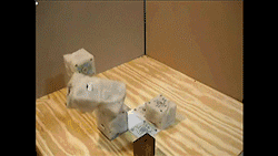 Have Robots Achieved 'Self-Awareness'?