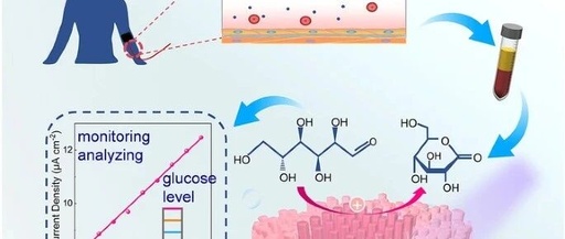 Novel Photoelectrochemical Photodetector Based on Semiconductor p-n Junction for Biosensing Applications