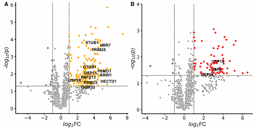 A Novel DNA-Protein Cross-Linking Chemical Probe Reveals the Source of Cytotoxicity from DPC