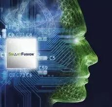 The Renaissance of FPGA