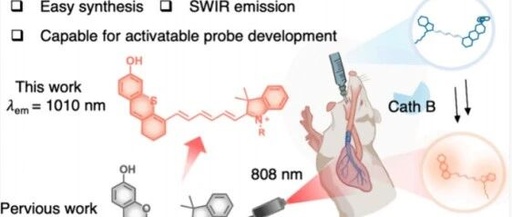 J. Am. Chem. Soc.: Shortwave Infrared Hemicyanine-6 for Cancer Activation and Shaving-Free Preclinical Imaging of Lung Metastasis