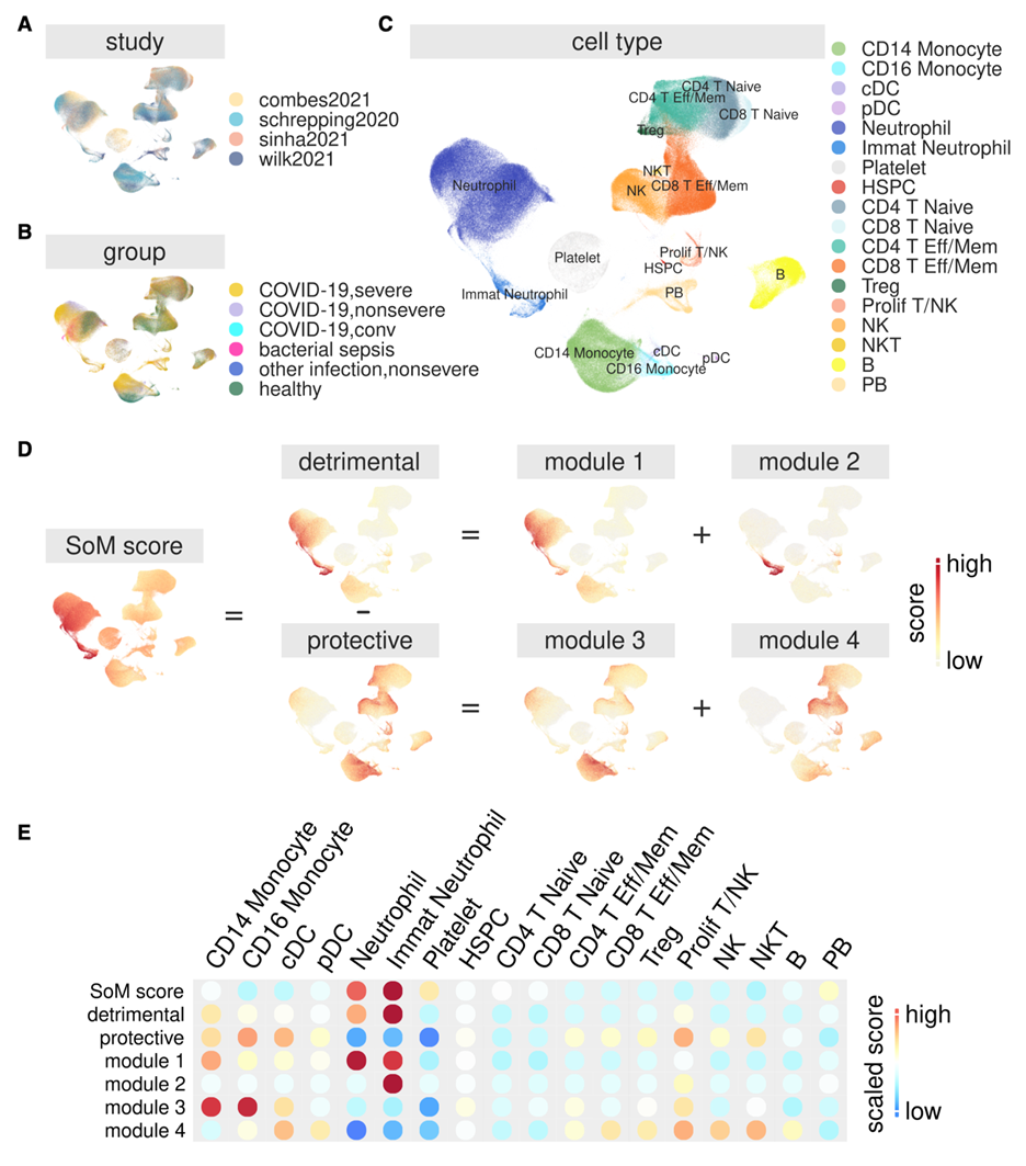 Immunity: Precise Prediction of Infection Severity and All-Cause Mortality Based on SoM Gene Features