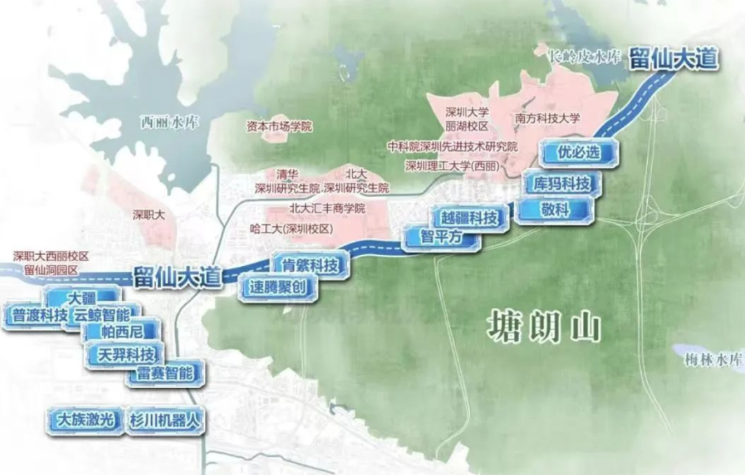 AI and Robotics Industry in Guangdong: Over 30 Local Companies Showcase Their Skills at the World Robot Conference - What Are the Highlights?