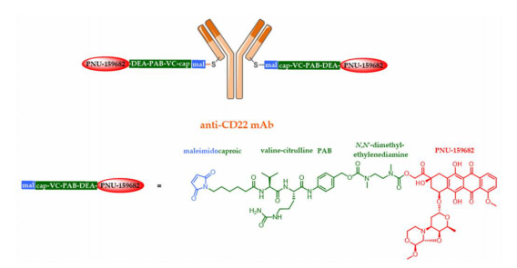 The Evolution of Antibody-Drug Conjugates (ADCs)